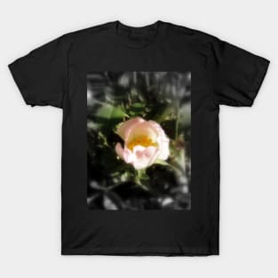 old-fashioned roses by Fox Creek & Columbia River 13 T-Shirt